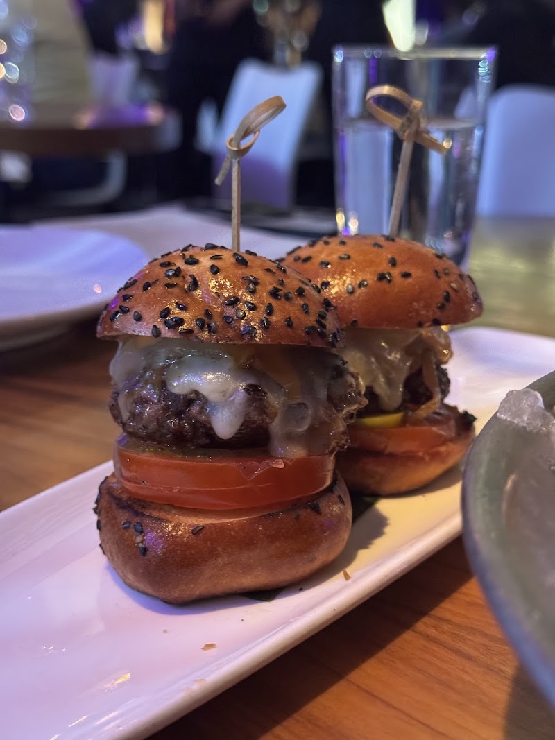 STK Steakhouse