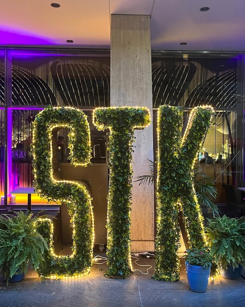 STK Steakhouse